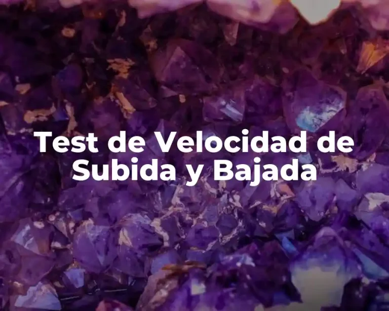 Test de Velocidad de Subida y Bajada