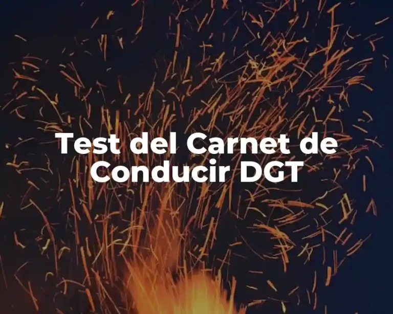 Test del Carnet de Conducir DGT