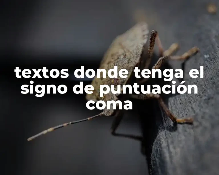 textos donde tenga el signo de puntuación coma