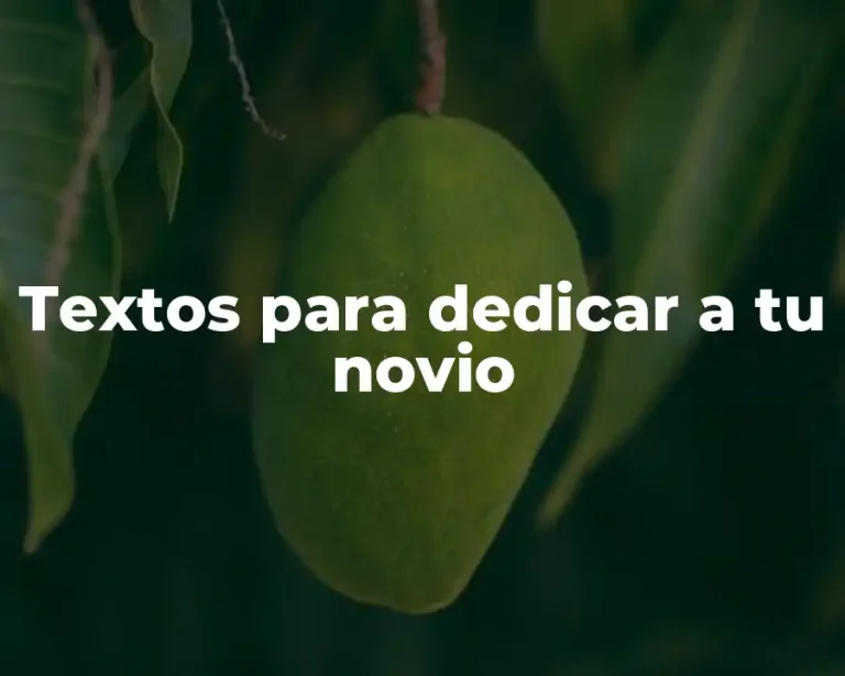 Textos para dedicar a tu novio