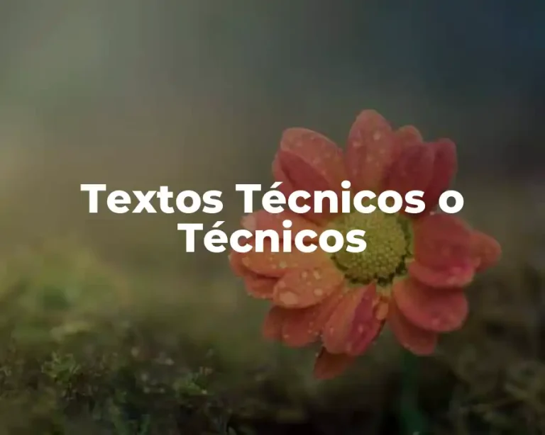 Textos Técnicos o Técnicos