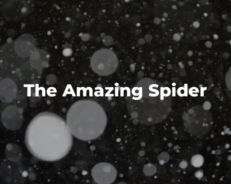The Amazing Spider