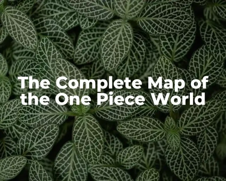 The Complete Map of the One Piece World