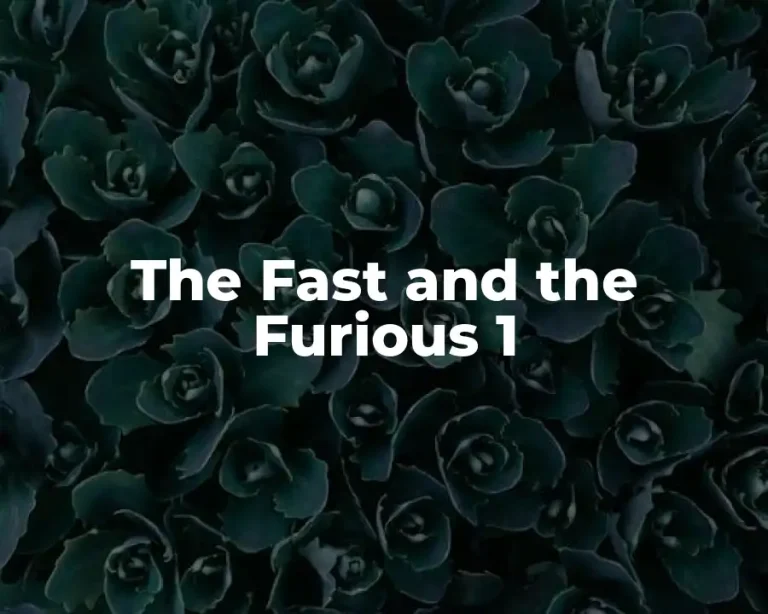 The Fast and the Furious 1