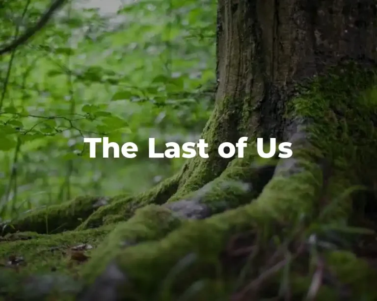 The Last of Us