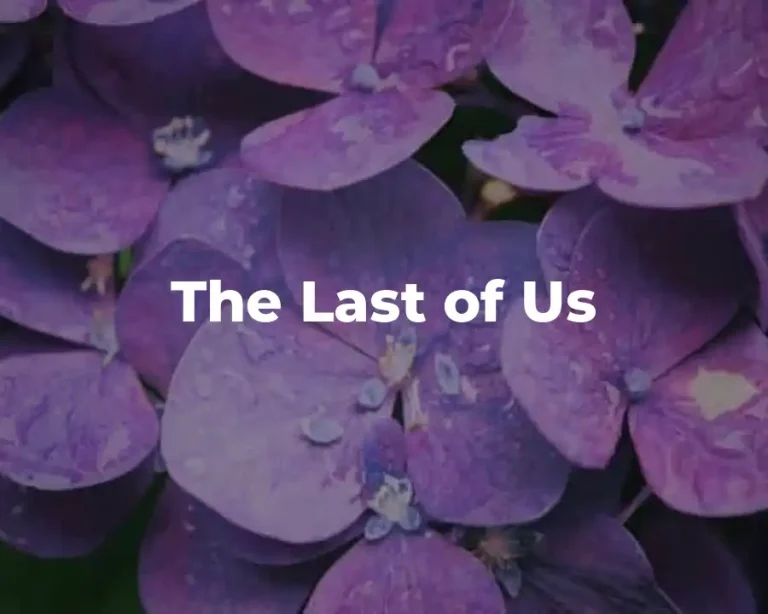 The Last of Us