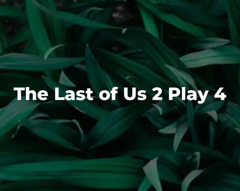 The Last of Us 2 Play 4