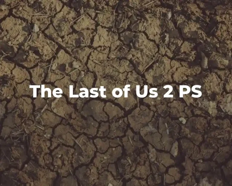 The Last of Us 2 PS