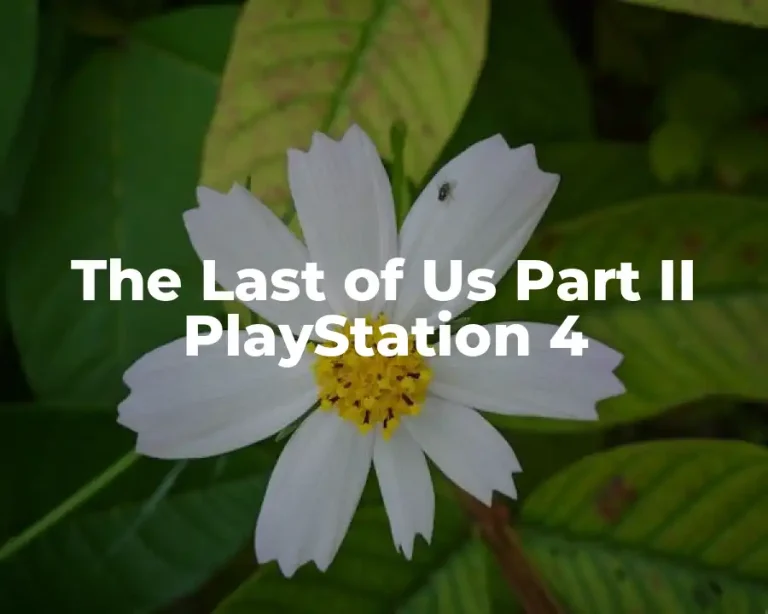 The Last of Us Part II PlayStation 4