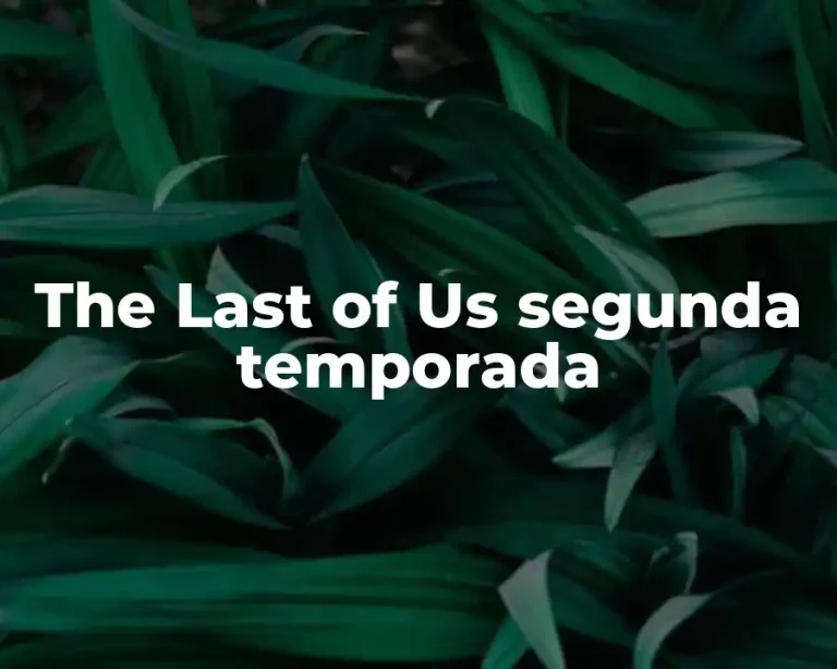 The Last of Us segunda temporada