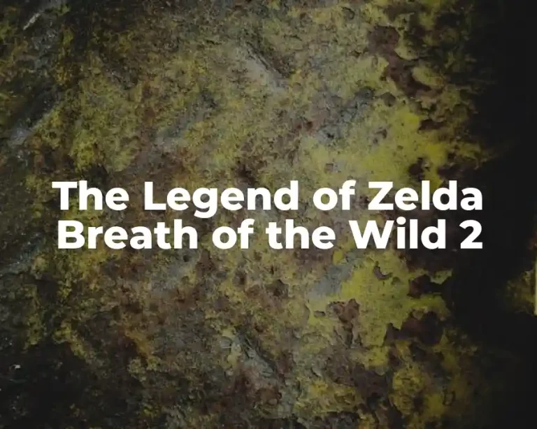 The Legend of Zelda Breath of the Wild 2