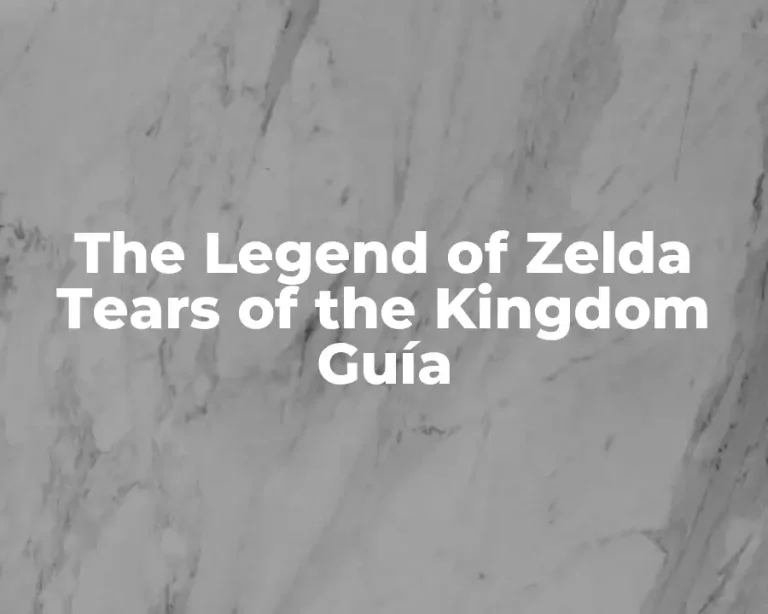 The Legend of Zelda Tears of the Kingdom Guía