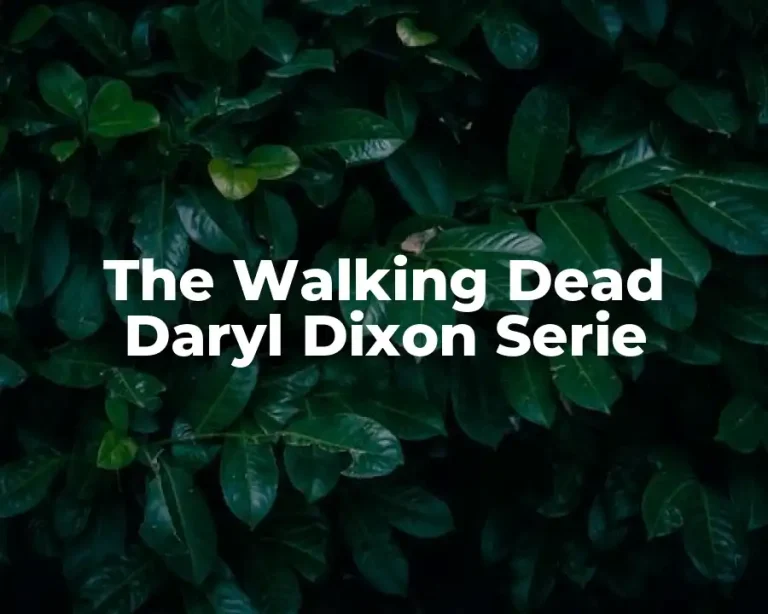 The Walking Dead Daryl Dixon Serie