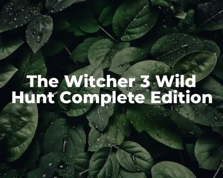 The Witcher 3 Wild Hunt Complete Edition