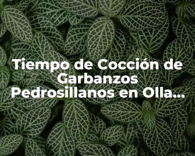 Tiempo de Cocción de Garbanzos Pedrosillanos en Olla Express
