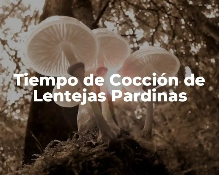 Tiempo de Cocción de Lentejas Pardinas