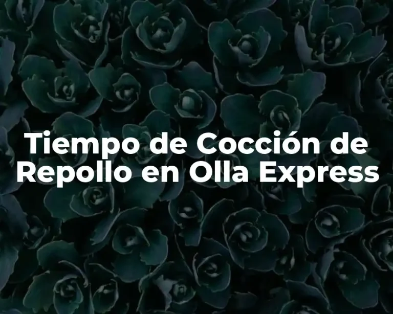 Tiempo de Cocción de Repollo en Olla Express