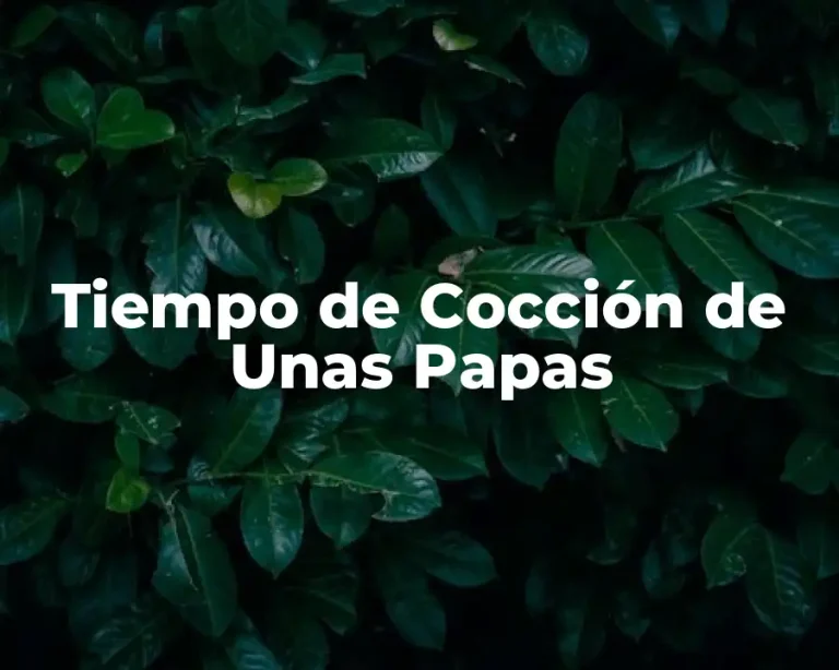 Tiempo de Cocción de Unas Papas