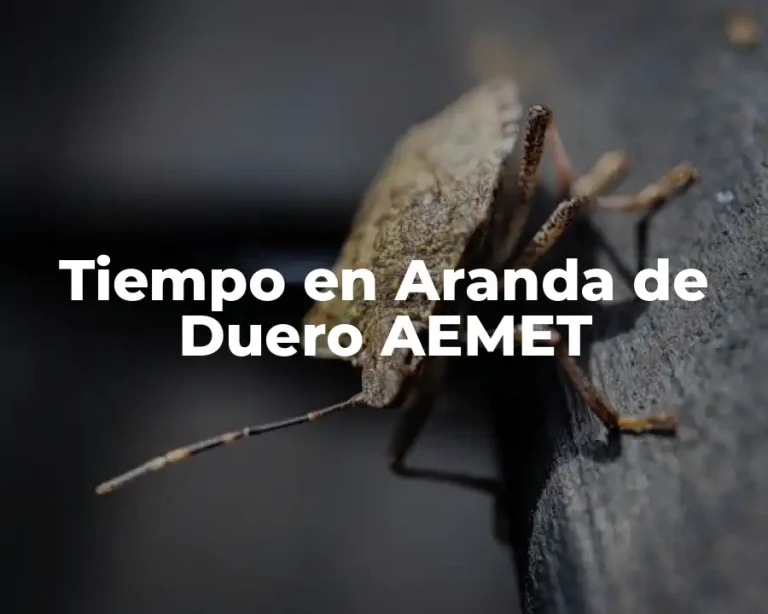 Tiempo en Aranda de Duero AEMET