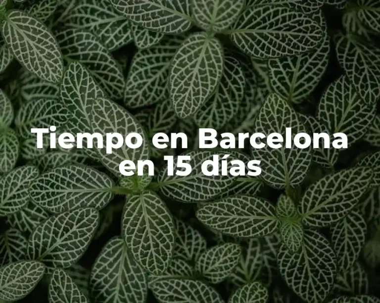 Tiempo en Barcelona en 15 días