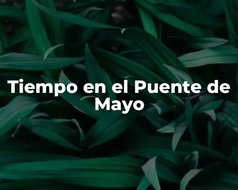 Tiempo en el Puente de Mayo