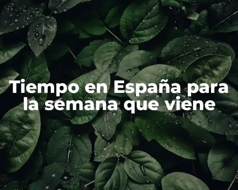 Tiempo en España para la semana que viene