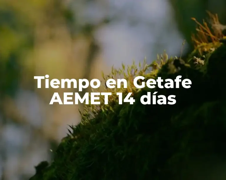 Tiempo en Getafe AEMET 14 días
