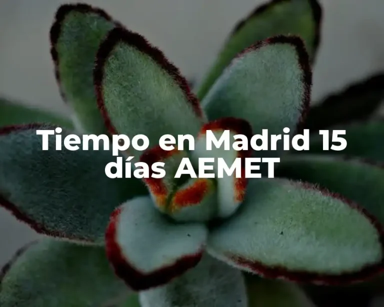 Tiempo en Madrid 15 días AEMET
