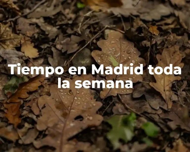 Tiempo en Madrid toda la semana