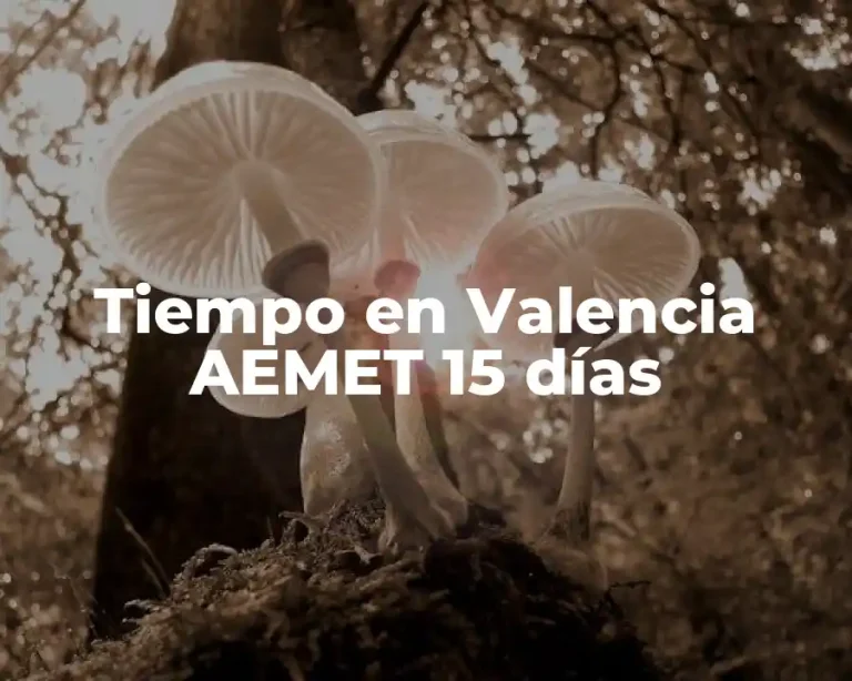 Tiempo en Valencia AEMET 15 días