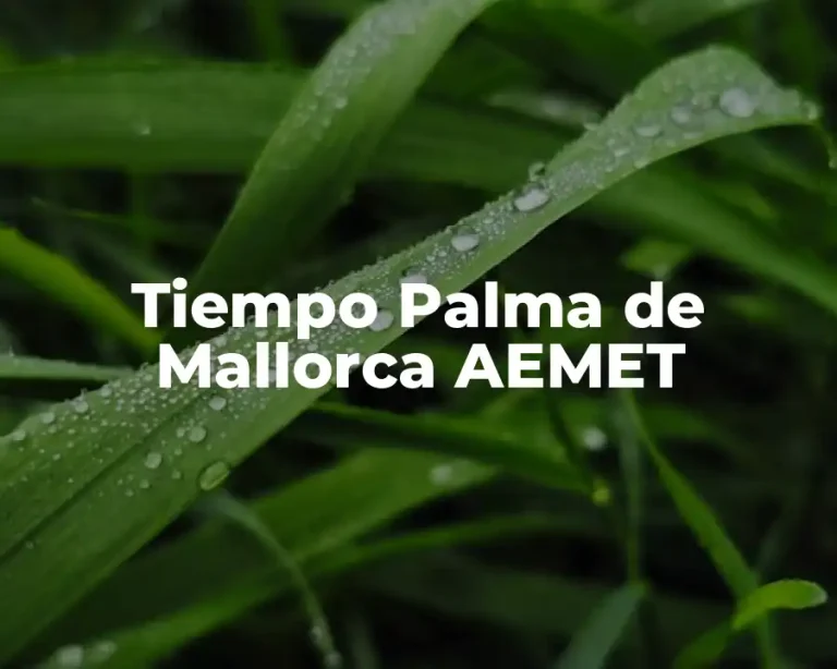 Tiempo Palma de Mallorca AEMET