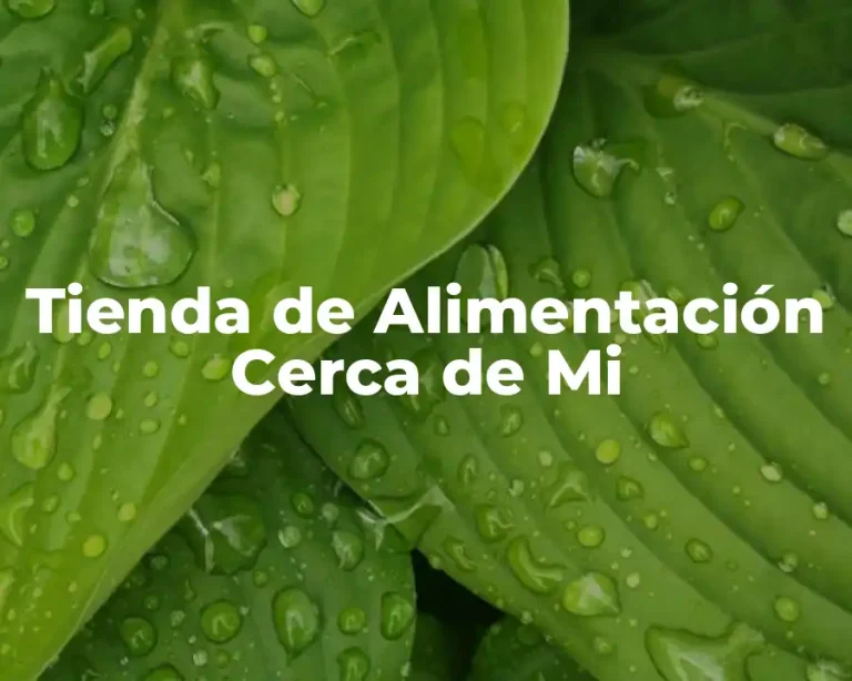 Tienda de Alimentación Cerca de Mi