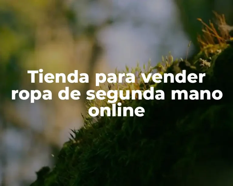 Tienda para vender ropa de segunda mano online