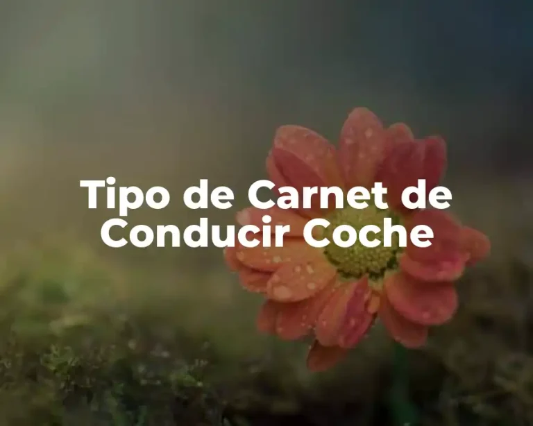 Tipo de Carnet de Conducir Coche