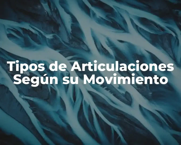 Tipos de Articulaciones Según su Movimiento