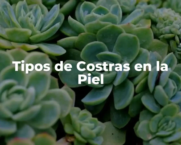 Tipos de Costras en la Piel