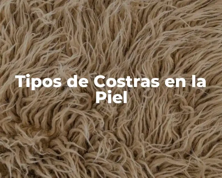 Tipos de Costras en la Piel