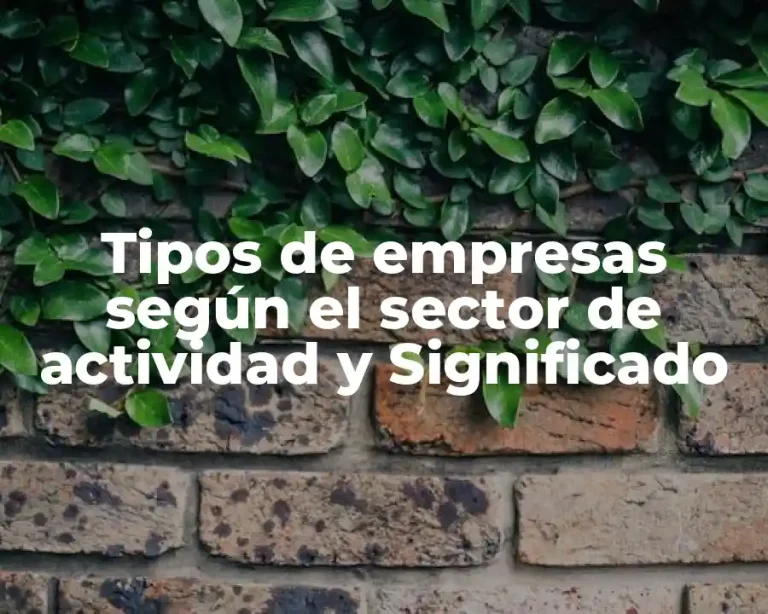Tipos de empresas según el sector de actividad y Significado