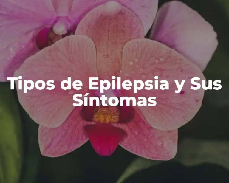 Tipos de Epilepsia y Sus Síntomas