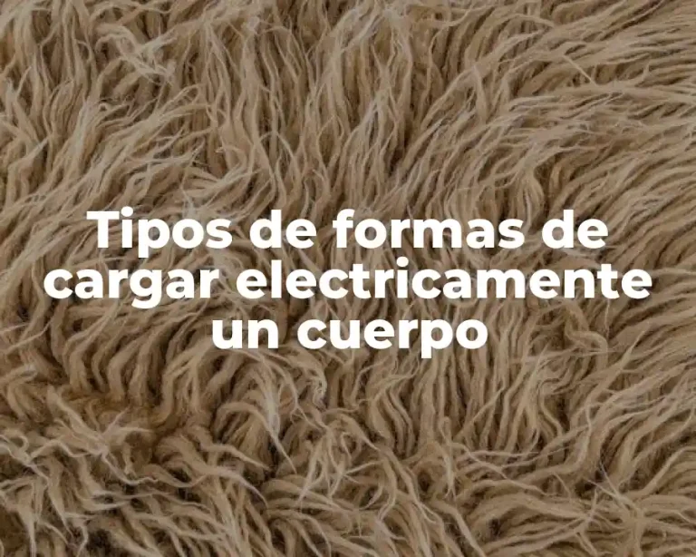 Tipos de formas de cargar electricamente un cuerpo