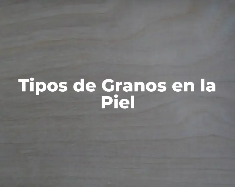 Tipos de Granos en la Piel