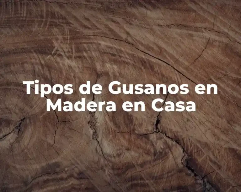 Tipos de Gusanos en Madera en Casa