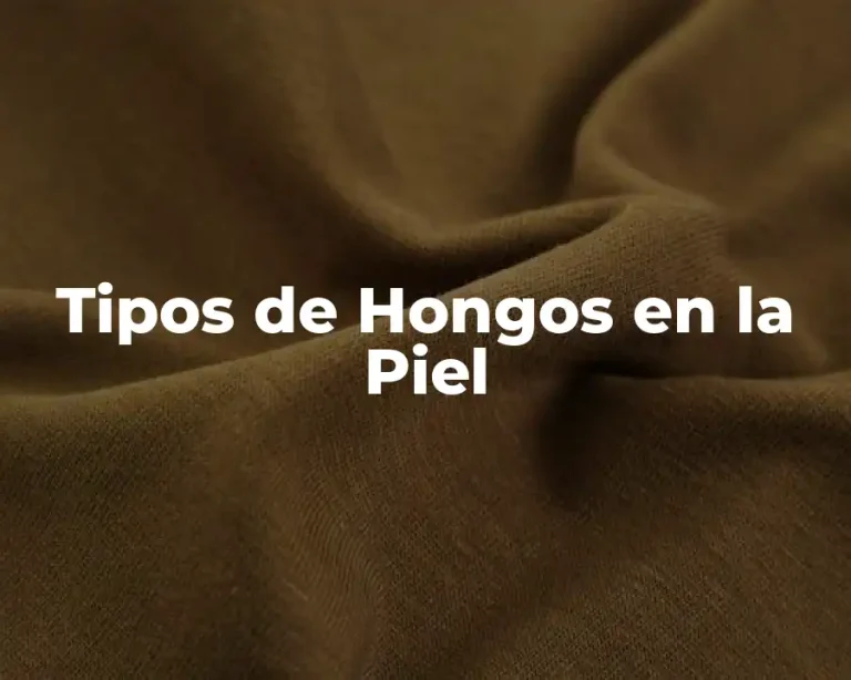 Tipos de Hongos en la Piel