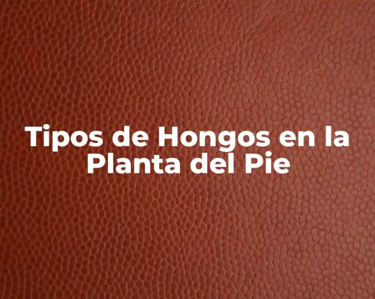Tipos de Hongos en la Planta del Pie