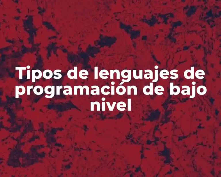 Tipos de lenguajes de programación de bajo nivel