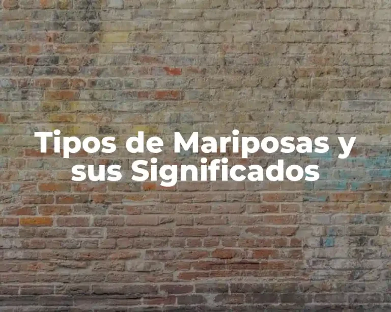 Tipos de Mariposas y sus Significados