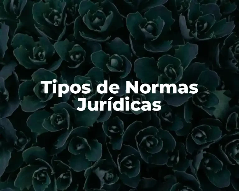 Tipos de Normas Jurídicas