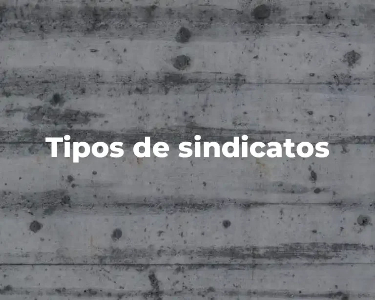 Tipos de sindicatos