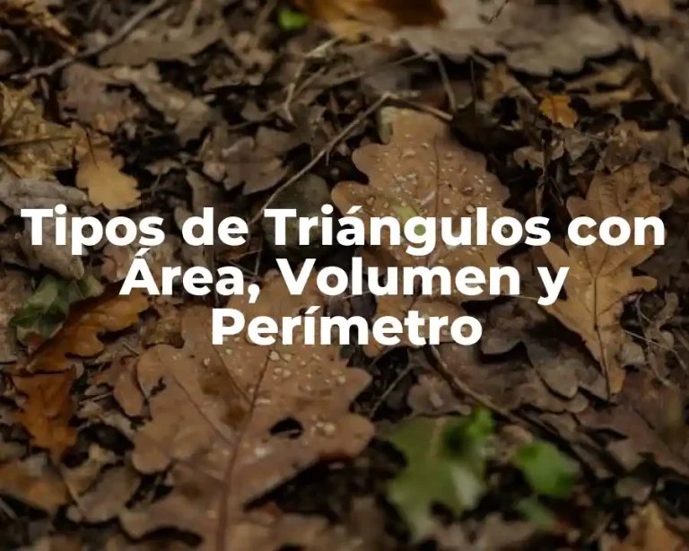 Tipos de Triángulos con Área, Volumen y Perímetro