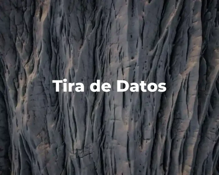 Tira de Datos